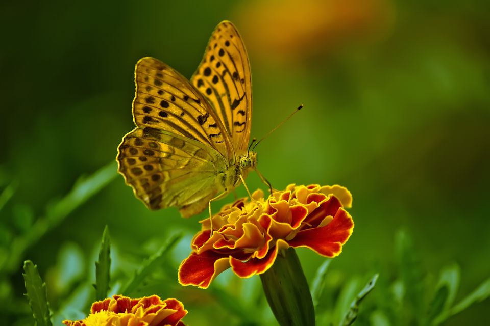 02-02
